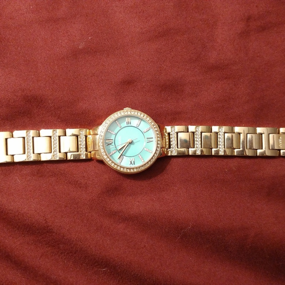 Fossil Watch